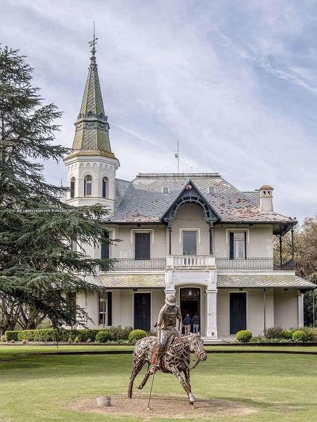 Exciting Countdown to the 2025 Polo Season in Argentina