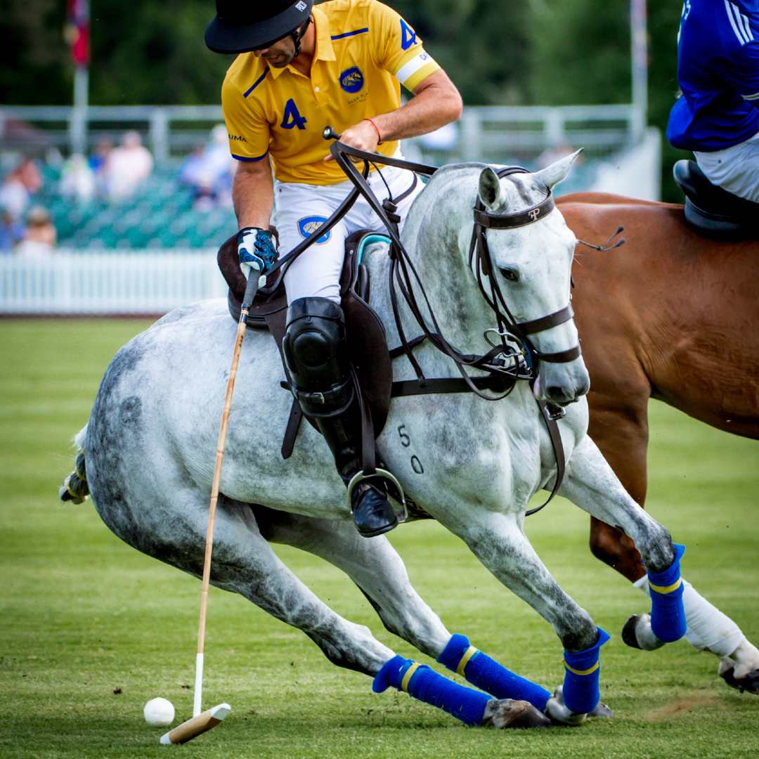 Selle MVP - Série 2