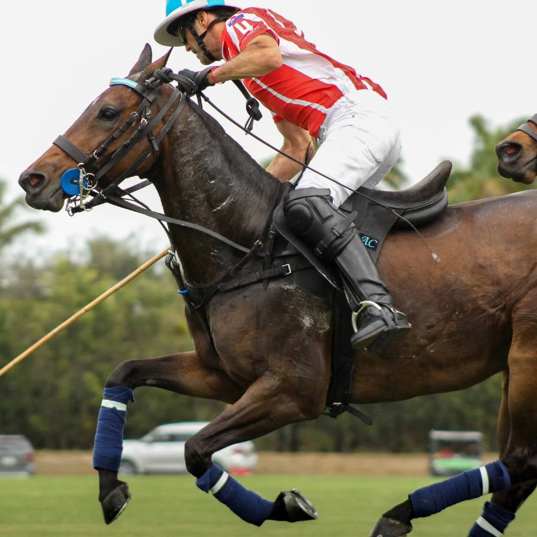 Selle MVP - Série 1