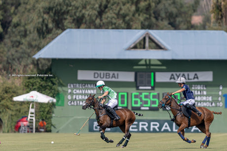 Copa de Plata Terralpa: Excitement Builds for the Finals