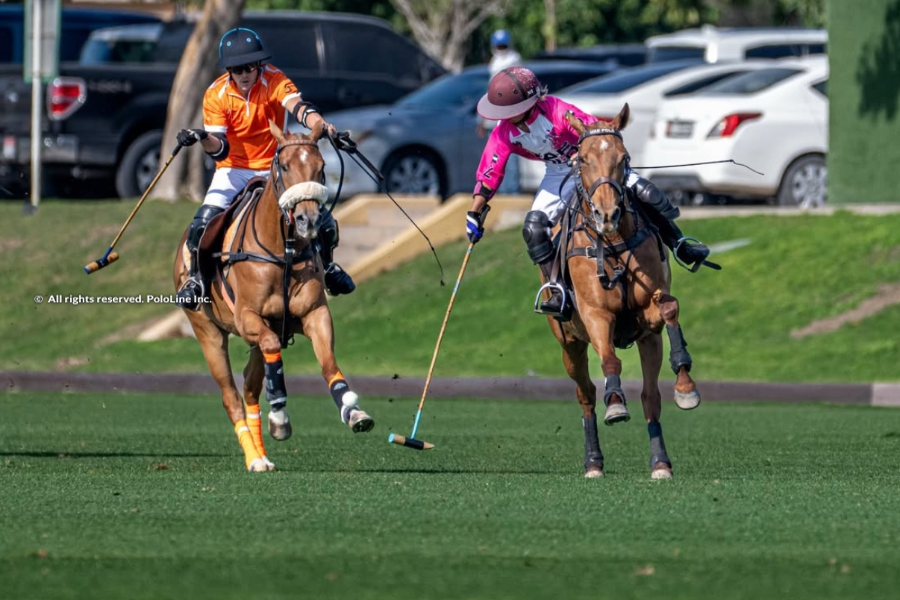 Début Palpitant : Coupe de la Fédération de Polo des Émirats à Dubaï