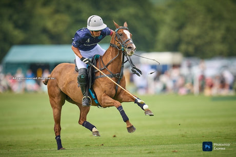Transition de la saison de polo : de l'Angleterre au Triple Couronne d'Argentine