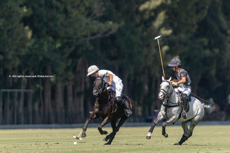 Terralpa Silver Cup Semifinals Set in Sotogrande