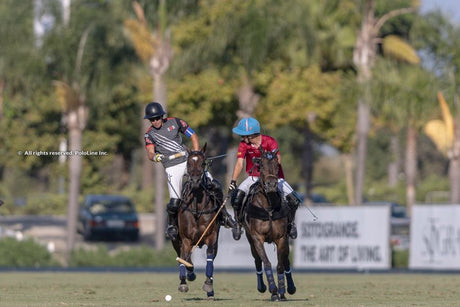Amanara and Black Bears Reach High Goal Terralpa Silver Cup Final