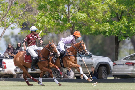 The Return of the 86th Tortugas Open: Hiper and La Irenita Triumph