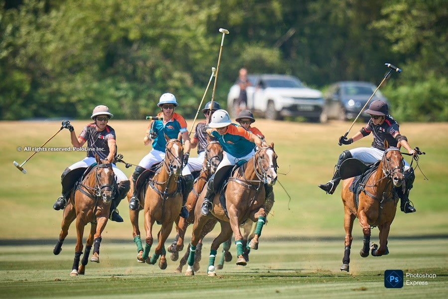 St. Regis Cowdray Gold Cup: Semifinal Teams Revealed!
