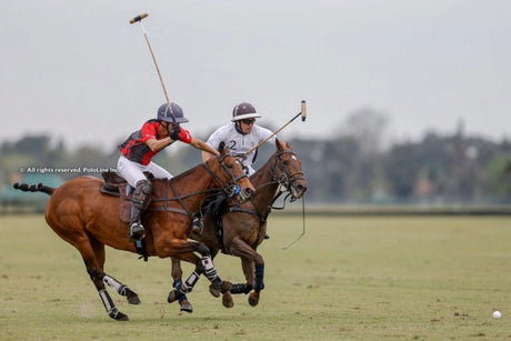 Countdown to the Polo Qualification Tournament: Who Will Prevail?
