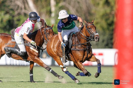 132° Abierto Argentino de Polo: Nuevas Fechas Anunciadas para los Partidos Finales
